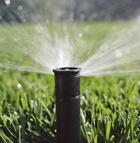 a sprinkler pop up head during operation