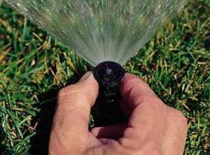 a Castle Rock Sprinkler Repair tech adjusts a pop up head 